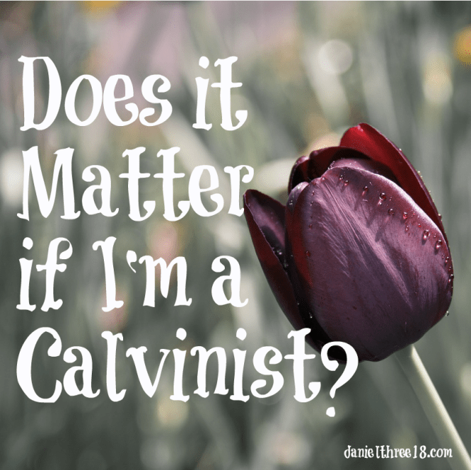 Calvinist